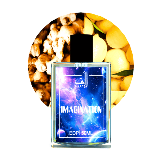 Imagination